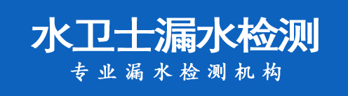 西塞山区暗管漏水检测