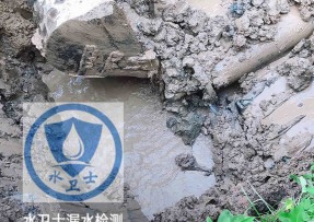 西塞山区水管漏水检测公司5
